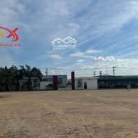 Bán Nhà Xưởng 24.500M2 Giá Chỉ 120 Tỷ -Kcn Nhơn Trạch-Đồng Nai