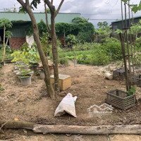Bán Đất Tặng Nhà Vườn ,Cách Trường Tiểu Học Tân Phú Ấp 1 Chỉ 200M