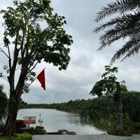 Cần Tiền Bán Lỗ Biệt Thự Sl View Hồ Siêu Đẹp Khu Vườn Hồng Nam Hồng Đồng Kỵ Từ Sơn Giá Rẻ Nhất Tt