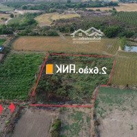 Bán 2,6 Sào Đất Trang Trại Giá Rẻ Tại Hồng Thái Bắc Bính Bình Thuận