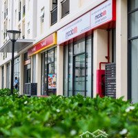 Shophouse 38M2 Cityland Gv Mặt Tiền Đường 12M Giá Rẻ Chưa Từng Có 4 Tỷ