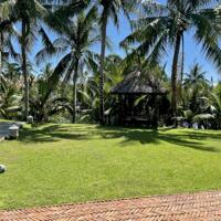 Chào bán căn villa view lúa cực chill khu sinh thái Cẩm Thanh,có sẵn HD cho thuê 3 năm - giá 70tr/ tháng