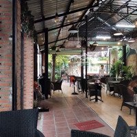 Sang Quán Cafe Căn Góc Lớn Hơn 200 M² Phường 15 Tân Bình