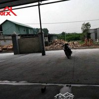 Bán Xưởng 2000M2 Thiện Tân, Vĩnh Cửu Đồng Nai Giáp Biên Hòa Có 11,2 Tỷ