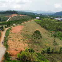 Đất Thổ Cư Giá Rẻ, View Đồi Thông, Gần Khu Tropicana Garden 2, B''lá, Bảo Lâm, Lâm Đồng