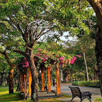 Cho Thuê Căn 112.8 M2 Ot Làm Văn Phòng Toà Lp Central Park