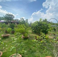 Bán Nhà Vườn Nghỉ Dưỡng Full Nội Thất - Mađaguôi, Lâm Đồng - 2.200M2, Shr, Cạnh Nút Giao Cao Tốc