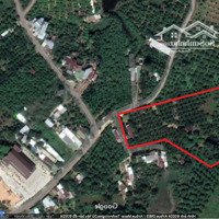 Chính Chủ Bán Đất Trồng Dừa, Cách Ql20 600M, 12.000 M2