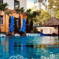 Cho Thuê Resort 5.000M2 Đạt Tiêu Chuẩn Tại Tp.hồ Chính Minh