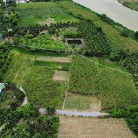 Kẹt Tiền Cắt Lỗ 500 Triệu Cho Lô Đất Vườn Diên Phước Diên Khánh, Gần Sông Cái Mà Giá Chỉ 1 Tỷ