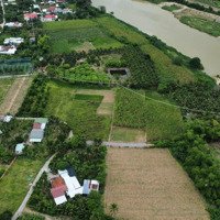 Kẹt Tiền Cắt Lỗ 500 Triệu Cho Lô Đất Vườn Diên Phước Diên Khánh, Gần Sông Cái Mà Giá Chỉ 1 Tỷ