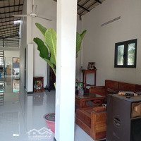 Nhà Vườn Nguyên Căn 3 Phòng Ngủ Gần Nhà Gỗ, Hựu Thạnh, Đức Hòa