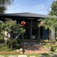 Villa Cho Thuê Tại Vĩnh Phú, Thuận An, Bình Dương Cách Trung Tâm Sài Gòn Khoảng 20 Phút