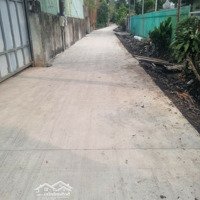 Bán Xưởng 1080M2 Đường Nhị Bình 15, Xã Nhị Bình, Huyện Hóc Môn, Tphcm