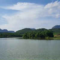 Chuyển Nhượng 6500M2 Bám Hồ Đồng Chanh, Nhuận Trạch, Lương Sơn, Hoà Bình.
