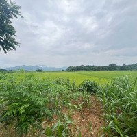 Lô Đất Siêu Đẹp Tại Khánh Thượng, Ba Vì Diện Tích 720M View Nhìn Ra Cánh Đồng, Giá Hợp Lý