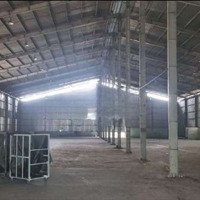 Kho Xưởng (5000M²) Tân Thạnh Đông, Củ Chi