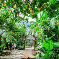Cho Thuê Quán Cafe Đườn Quang Trung - Đầy Đủ Dụng Cụ Vào Kd Ngay