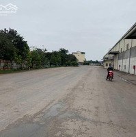 Cho Thuê Kho Chứa Hàng Hoặc Xưởng Sản Xuất Tại Kim Thành, Hải Dương 1000M2 - 1200M2 - 3500M2-5000M2