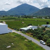 Ngộp Bán Lô Đất Ngay Tp Tây Ninh View Núi Bà Diện Tích 200M2 Giá 389 Triệu