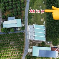 Ngộp Bán Lô Đất Ngay Tp Tây Ninh View Núi Bà Diện Tích 200M2 Giá 389 Triệu