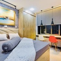 Bán Nhà Chdv Nguyễn Cư Trinh Quận 1, 62M2, 6 Tầng, Thang Máy, Pccc, Dòng Tiền 80 Triệu/Tháng