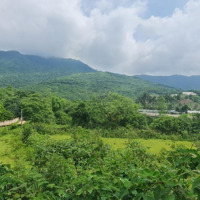 Bán 4343M2 Tại Yên Bình Thạch Thất, View Núi, Đường Ô Tô Tránh Nhau.