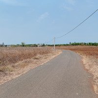 Bán Khoảng 5 Sào 3 (5336M2) Đất Đá Bạc, Huyện Châu Đức, Brvt. Giá Bán 13 Tỷ.