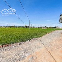 Thị Trấn Phước Hải - Góc 2 Mặt Tiền Đang Trải Nhựa 4243M2 Giá Bán 13Tỷ500