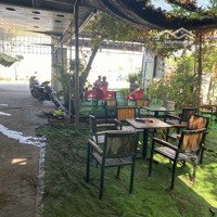 Cho Thuê Đất Mặt Tiền Trịnh Thị Miếng , Hiện Trạng Quán Cafe Sân Vườn