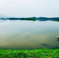 Lô Đất Vip Nhất Hồ Đồng Mô 7500M2 Có 240M2 Đất Ở. Bám Mặt Đường Nhựa