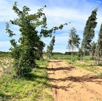 Tôi Chính Chủ Có Lô Đất Sông Luỹ- Bắc Bình- Bình Thuận Cách Quốc Lộ 1A 2,5Km. Chỉ 69K/M2 Đường Ô Tô