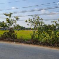 Bán đất tại mặt tiền đường Lộc Bình 6, xã Lộc Giang, Huyện Đức Hòa, tỉnh Long An