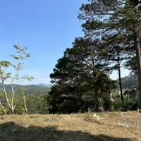 Đất Biệt Thự View Rừng Thông Cực Đẹp Mặt Tiền Đường Khe Sanh,  P10, Đà Lạt– Ngọc Anh