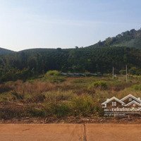 Bán Gấp Đất Ngay Hồ Đắk Long Thượng - Lộc Ngãi - Lâm Đồng