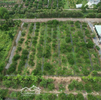1000M² Đất Vườn Có 500M² Thổ Cư Giá Rẽ Ở Bến Lức