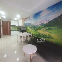 Cho Thuê Chung Cư 1 Phòng Ngủ 46M2, C/Cư Samsora Riverside Bình Dương