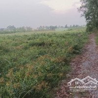 Bán 1 Công Đất Vườn Xã Nhị Thành- Thủ Thừa -Long An