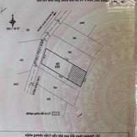 Đất Biệt Thự View Thung Lũng Thông Xanh Cực Đẹp Đường Hoàng Hoa Thám, P10, Đà Lạt