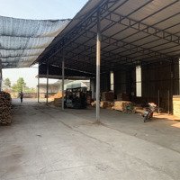 Cần Sang Nhượng Nhà Xưởng Tại Trảng Bom 1000M2, Sổ Hồng Riêng, 8Ty