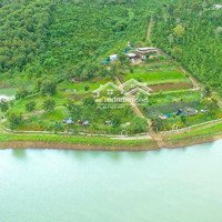 Bán Đất Di Linh Hơn 6000M2 - View Hồ, Homestay Sẵn Có - Giá 9 Tỷ