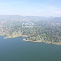 Bán Đất Di Linh 6000M2 - View Hồ Chữa Lành, Homestay Sẵn - Giá 9 Tỷ Tl