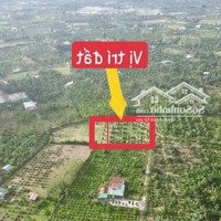 Bán Đất Thổ Cư Đường Thông . Đất Dân Tách Bán