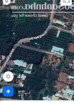 Biệt thự Đường bến đôi, Xã Bình Lợi, Vĩnh Cửu, Đồng Nai diện tích 1500m2 giá 8.5 Tỷ