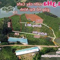 1.3Ha Đất Vườn Giáp Hồ Đại Ninh - Ninh Gia, Đức Trọng