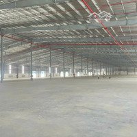 Cho Thuê 2000M2, 5000M2, 10.000M2 Kho Nhà Xưởng, Trong Khu Công Nghiệp Chu Lai Núi Thành Quảng Nam