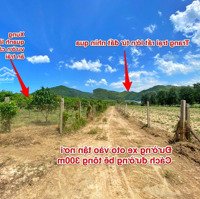 2,000M2 Đất Ninh Thượng, Ninh Hoà, Chuẩn Bị Sáp Nhập Về Vân Phong Giá: 370 Triệu