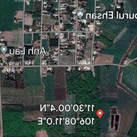 Cần Bán 10 Lô Đất Nền Mỗi Lô 1000M2 Ở Huyện Tân Châu, Tây Ninh