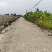 Chính Chủ Bán 500M2 Đất Full Thổ Cư Long An.