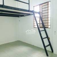 Khai Trương Duplex Của Sổ Trời Ngay Lottle Lê Đại Hành 3/2 Ltk Qua Trường Đh Ueh 10'' Không Giới Hạn